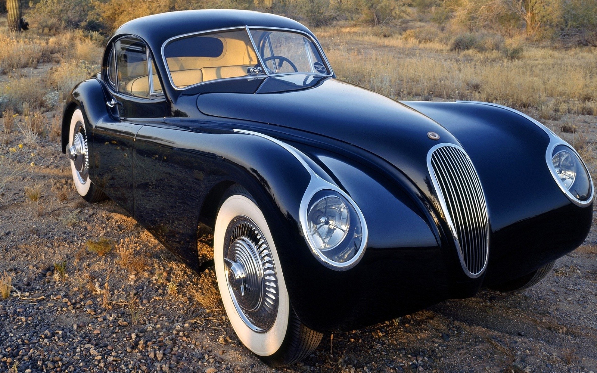 jaguar xk 120