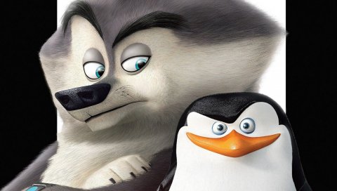 Пингвины мадагаскара, пингвины, волки, искусство, мультфильм
