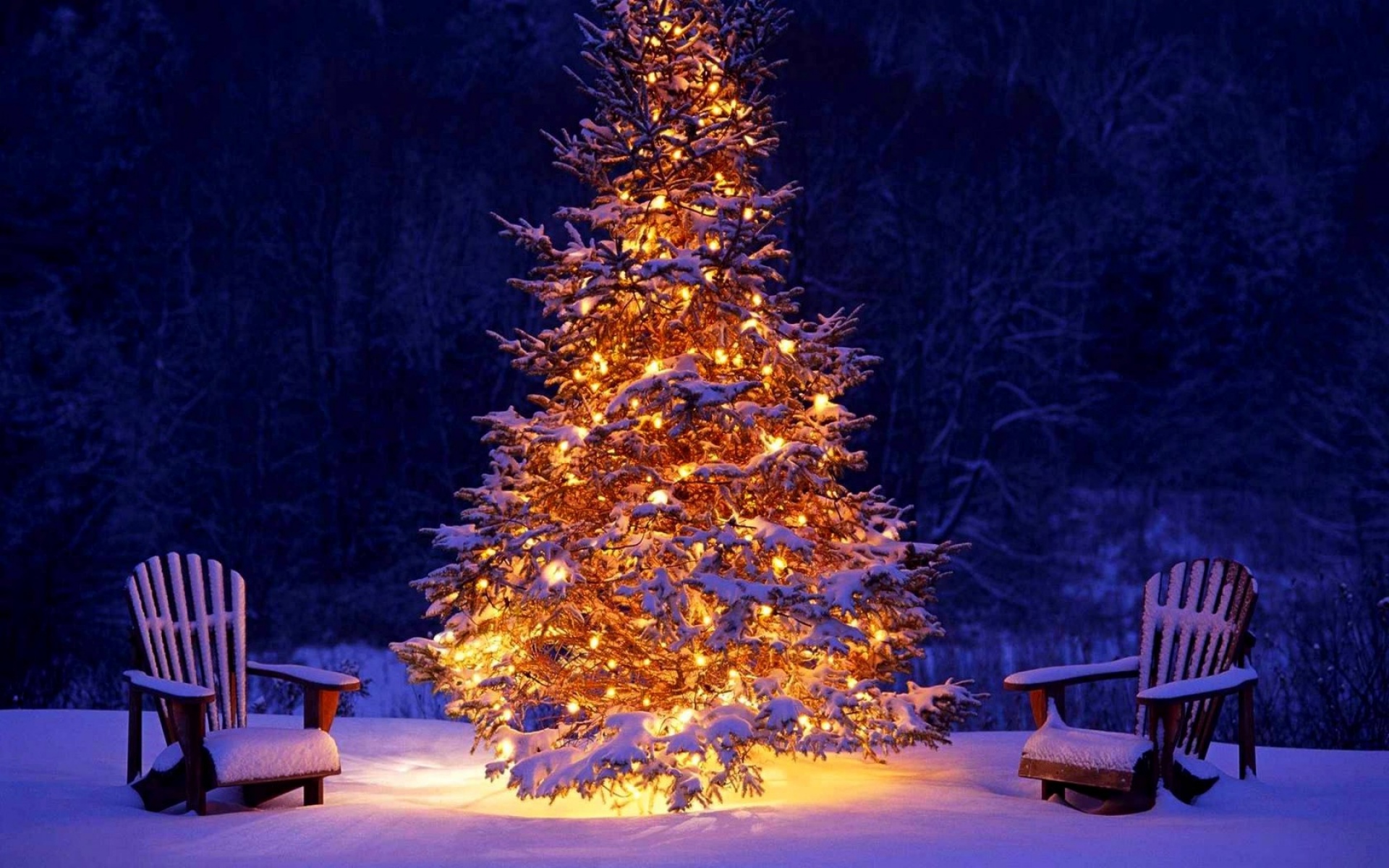 Картинки Новый год, рождество, елка, украшение, стулья, снег, гирлянда фото и обои на рабочий стол