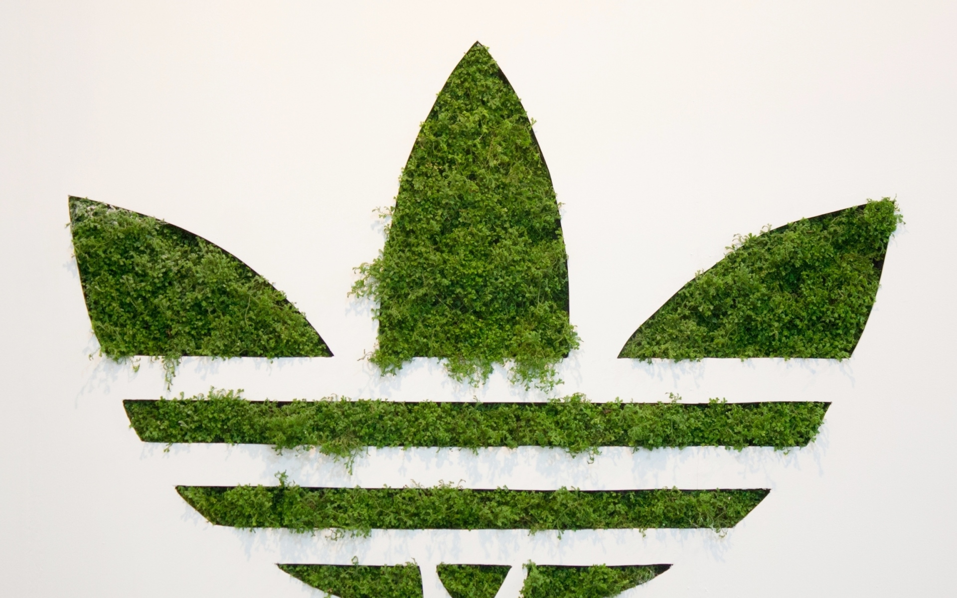 Картинки Adidas, логотип, спорт, фирма, трава фото и обои на рабочий стол