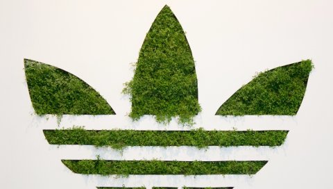 Adidas, логотип, спорт, фирма, трава