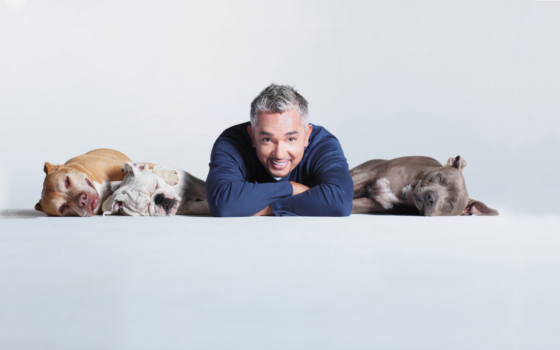 Картинки Cesar millan, собака, тренер, смерть, мошенничество, мистификация фото и обои на рабочий стол