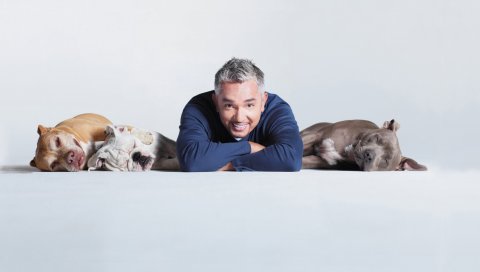 Cesar millan, собака, тренер, смерть, мошенничество, мистификация