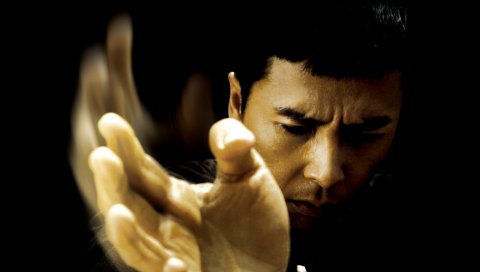 Yip man, 2008, donnie yen