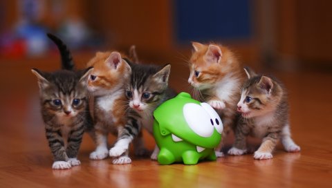 Om nom, котята, игрушка