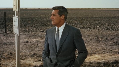 Север к северо-западу, 1959 год, рогерский шип, карие грант