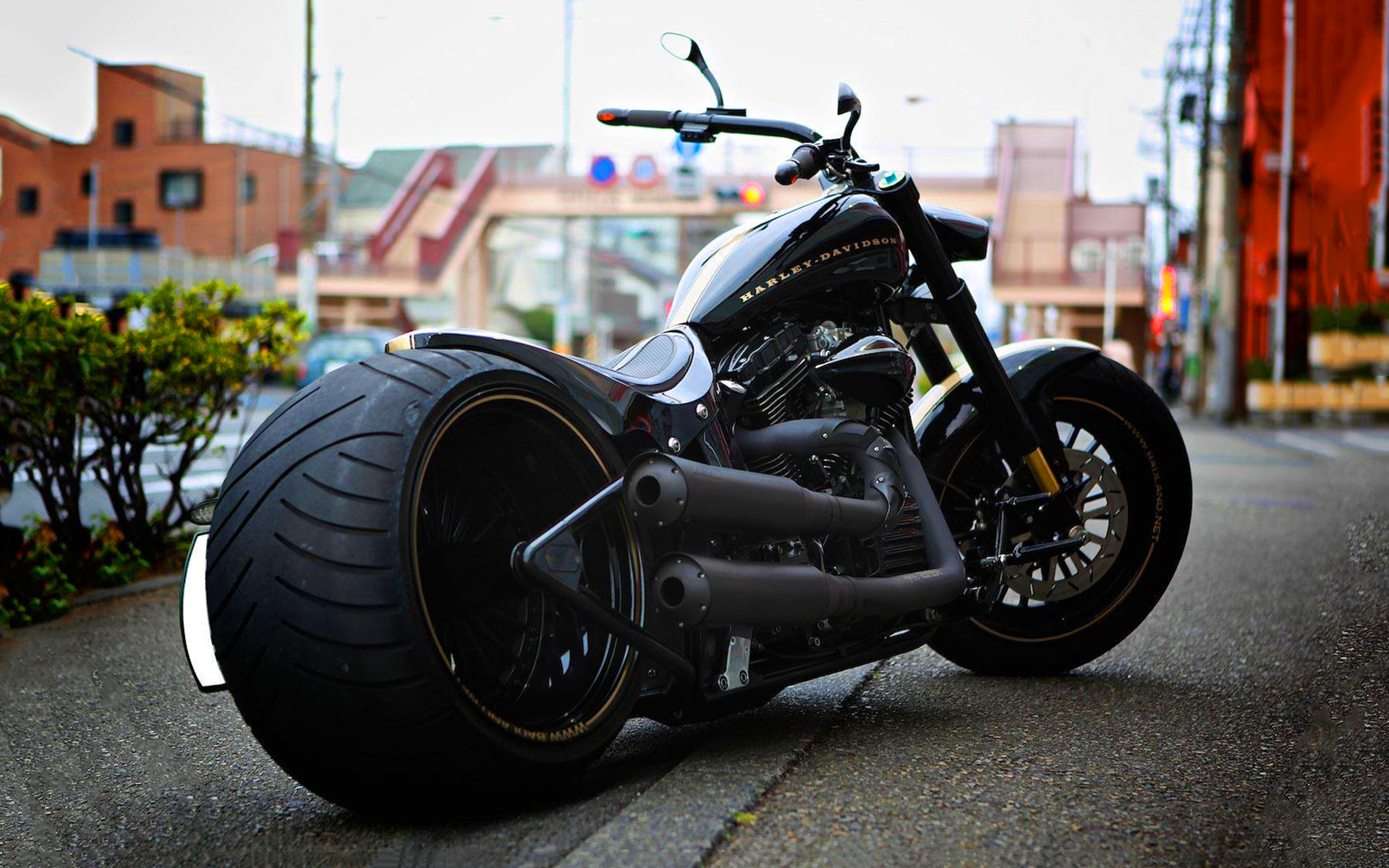 Картинки Harley-davidson, марочное, softail фото и обои на рабочий стол