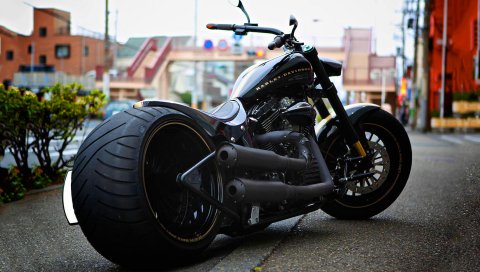 Harley-davidson, марочное, softail