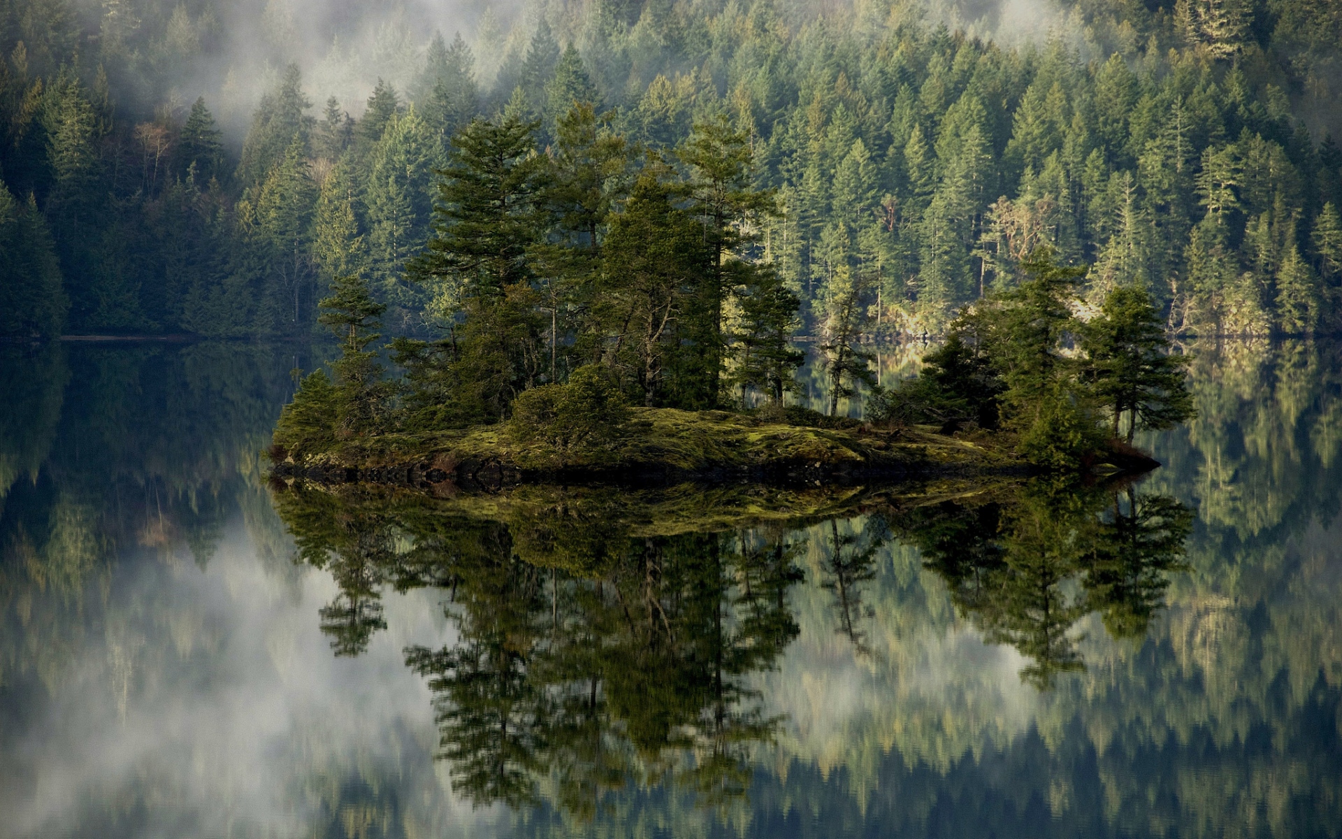 Картинки Лес, озеро, отражение, остров, туман фото и обои на рабочий стол