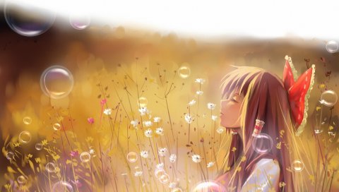 Luo, touhou, hakurei reimu, гармония, девушка, поле, трава