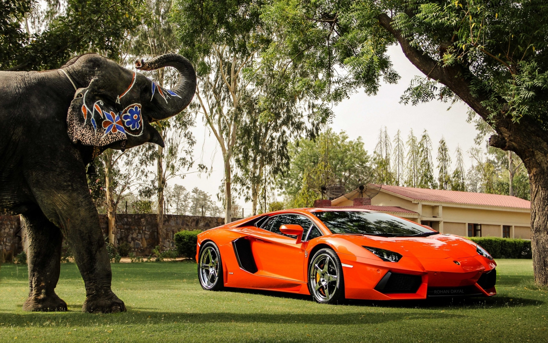 Картинки Lamborghini, aventador, lp700-4, оранжевый, вид спереди, отражение, слон, деревья, ограждение, здание фото и обои на рабочий стол