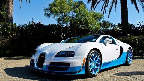 Bugatti, veyron, vitesse, blue, palm trees