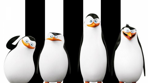 Пингвины мадагаскара, шкипера, ковальского, пингвинов, 2014