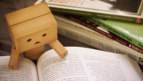 Danbo, картонный робот, книга, чтение