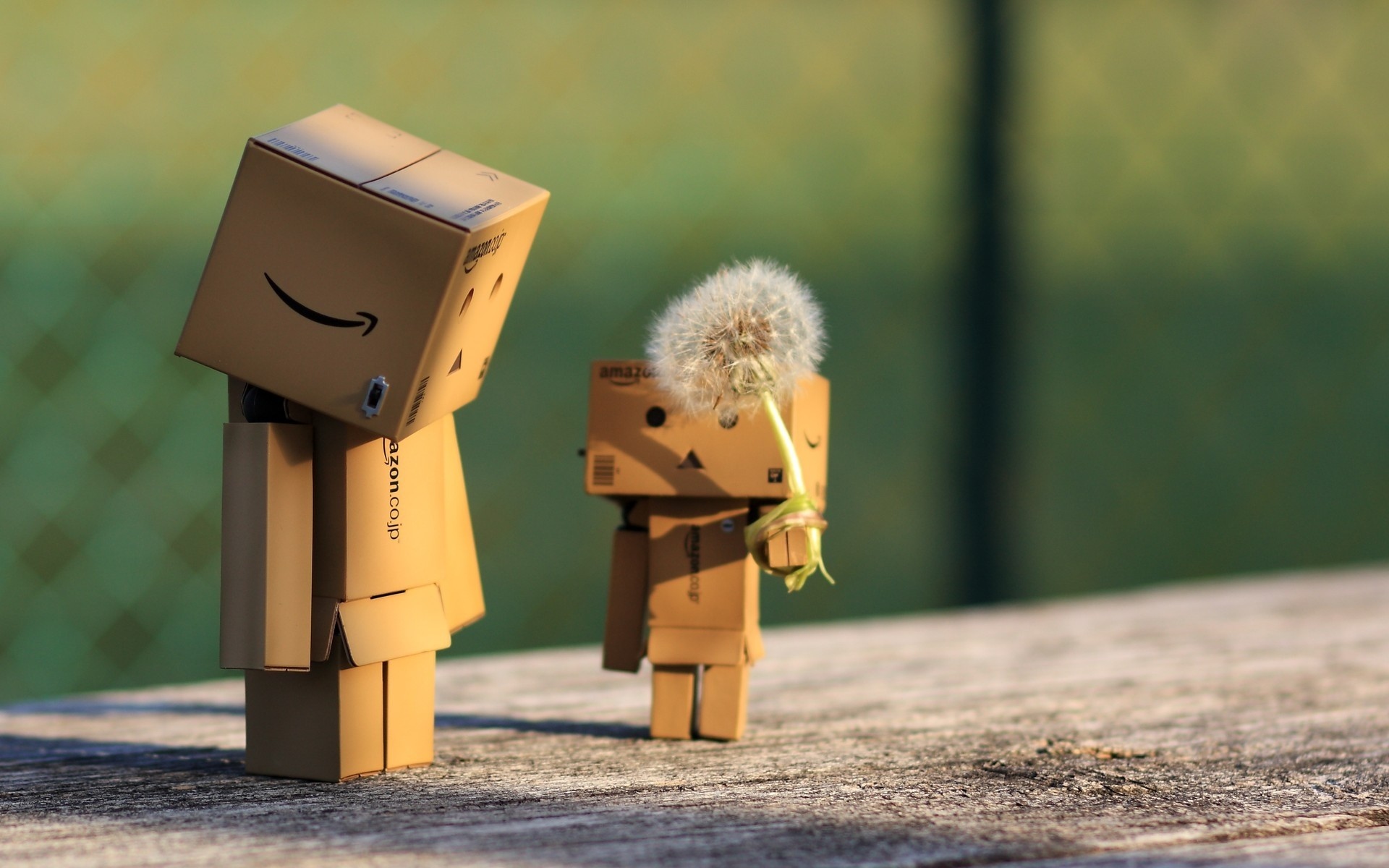 Картинки Danbo, картонный робот, одуванчик фото и обои на рабочий стол
