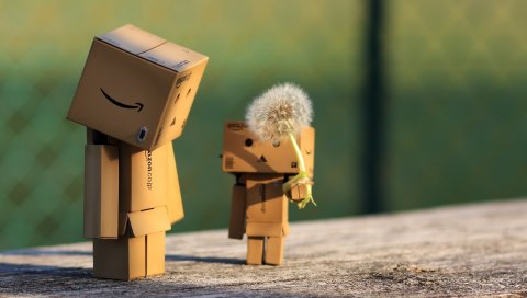 Danbo, картонный робот, одуванчик