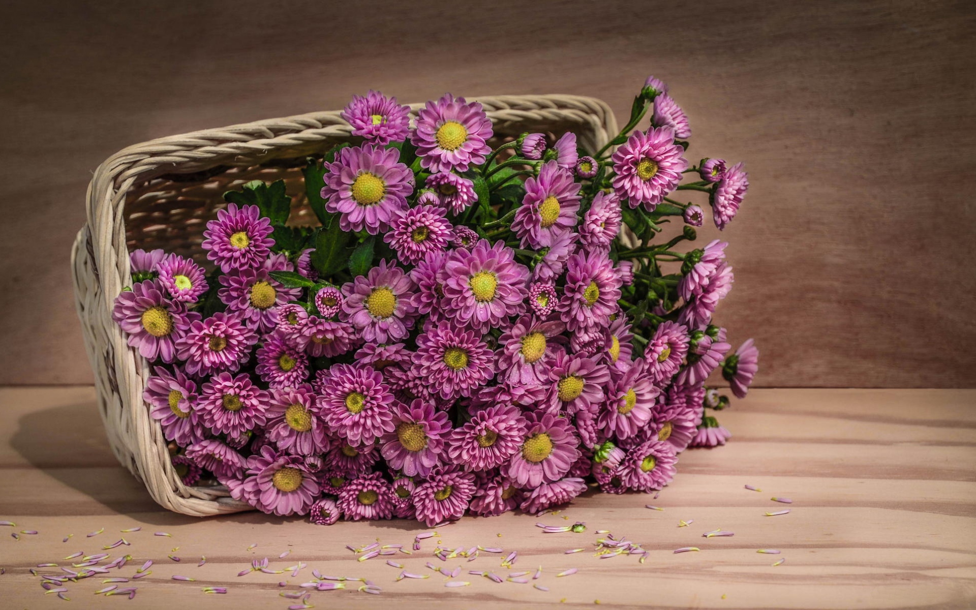 Картинки цветы, корзины,Лепестки фото и обои на рабочий стол
