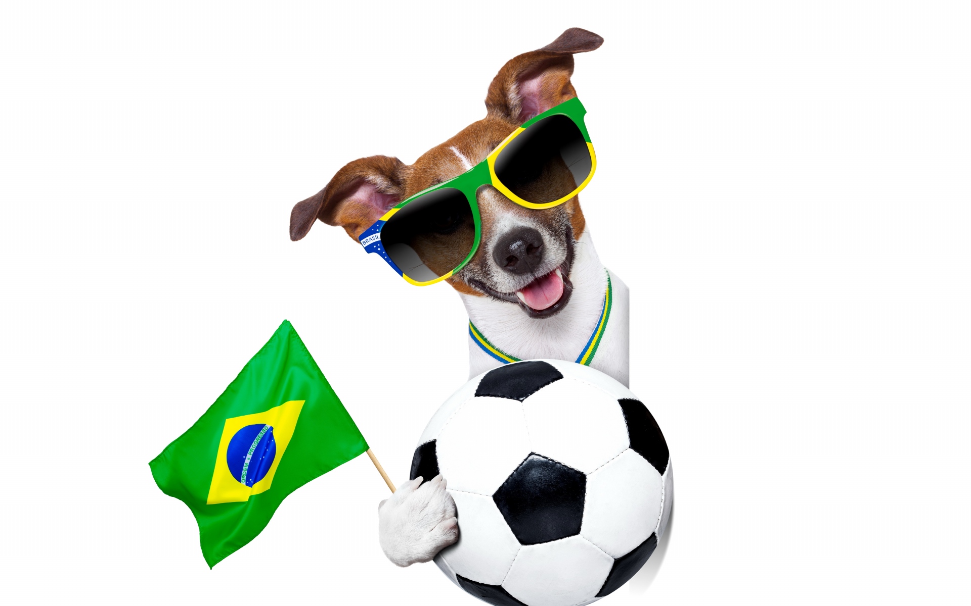 Картинки Fifa мира чашка, бразилия, 2014, собака, мяч фото и обои на рабочий стол