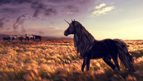 лошадь, единорог, гольф, искусство, трава, ветер
