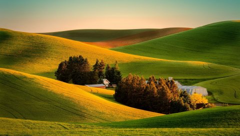 поле, трава, пейзаж, фермы