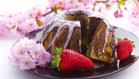 торт, пирожные, шоколад, замораживать, ягоды, клубника, пластины, ветви, цветение