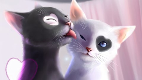 Котята, кошки, искусство, нежность