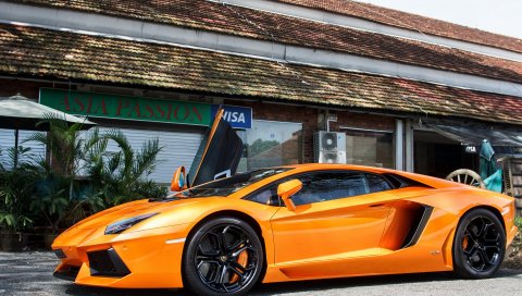 Lamborghini, lp 700-4, оранжевый, автомобили, вид сбоку