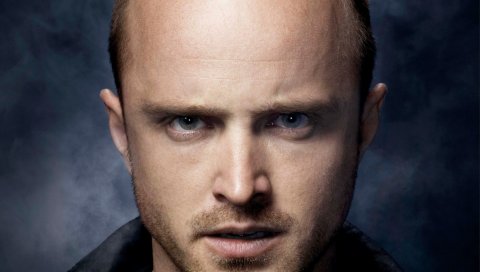 Aaron paul, актер, волосы, глаза, мужчина