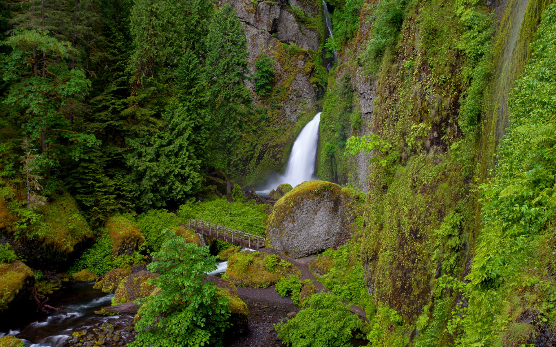 Картинки Wahclella падает, oregon, водопад, трава, холм фото и обои на рабочий стол