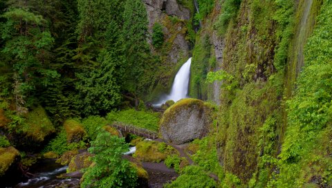 Wahclella падает, oregon, водопад, трава, холм