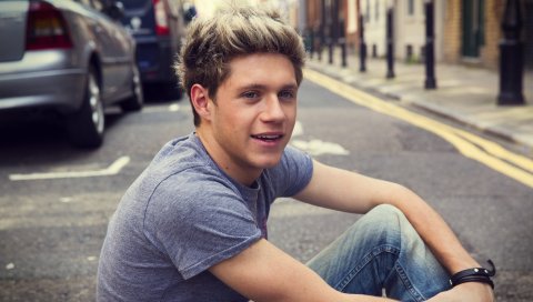 Niall horan, певец, музыкант, блондинка, знаменитость