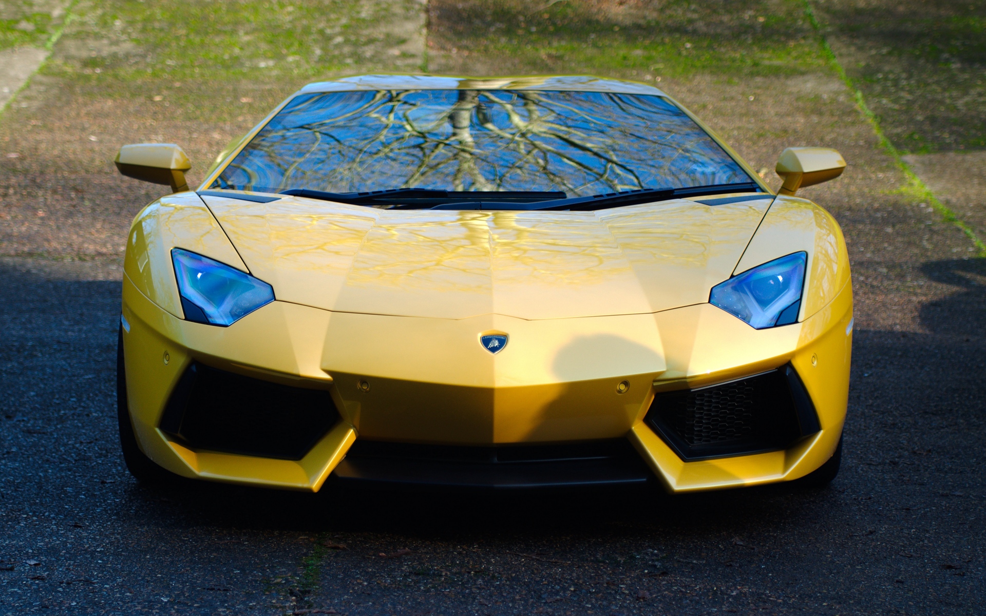 Картинки Lamborghini, aventador, lp700-4, желтый, автомобиль, вид спереди фото и обои на рабочий стол