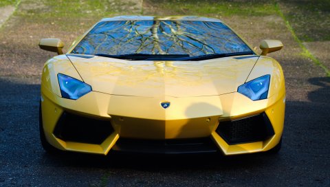 Lamborghini, aventador, lp700-4, желтый, автомобиль, вид спереди