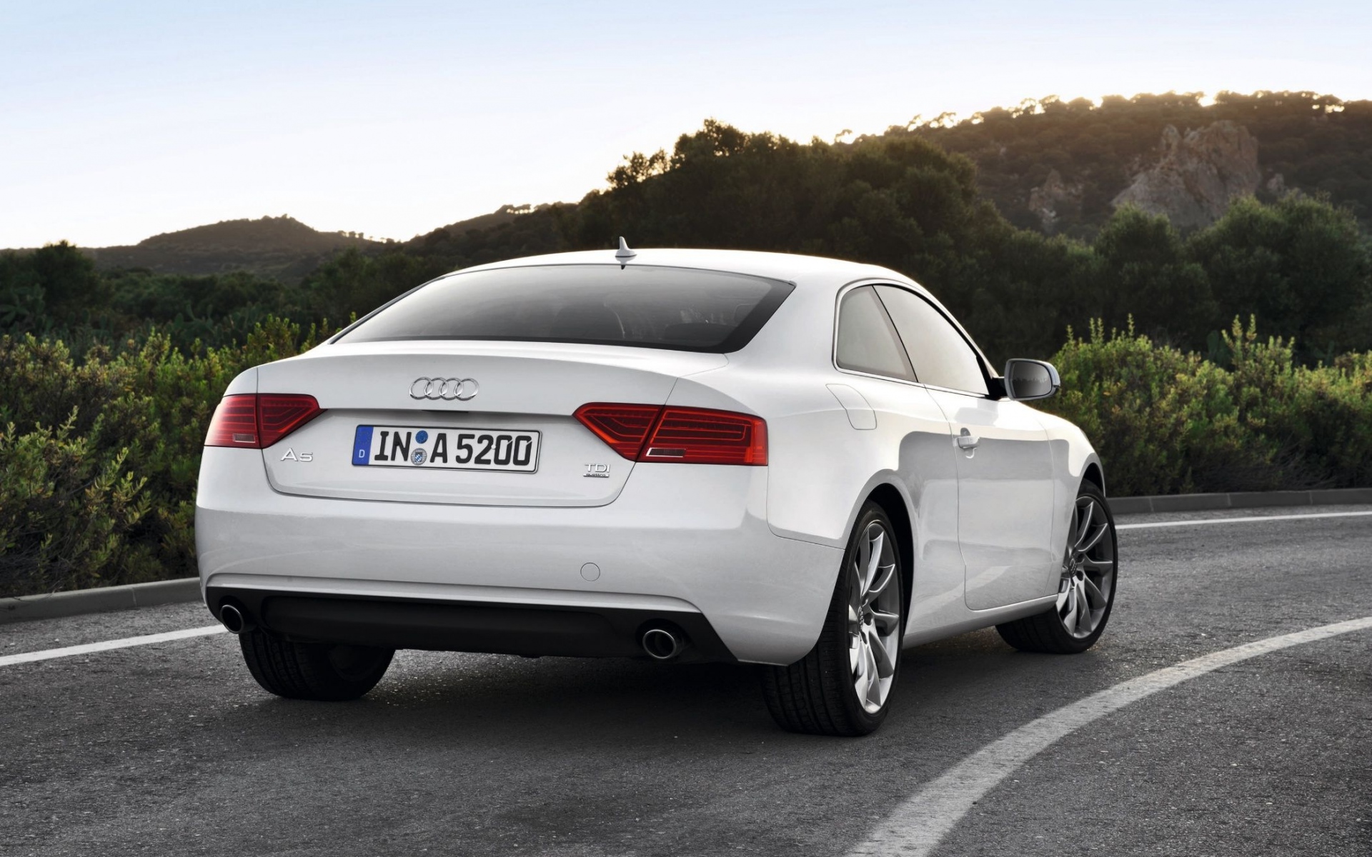 Картинки Audi, a5, tdi, белый, вид сзади фото и обои на рабочий стол
