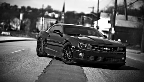 Chevrolet Camaro, Chevrolet, автомобили, вид спереди, черный белый
