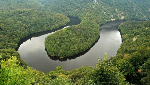 Пейзаж, трава, река