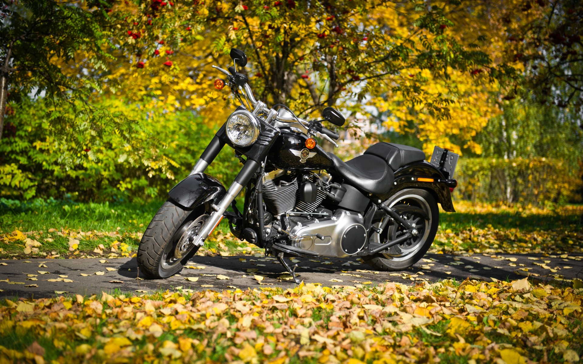 Картинки Harley-davidson, мотоцикл, листва, осень фото и обои на рабочий стол