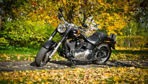 Harley-davidson, мотоцикл, листва, осень