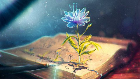Цветок, аннотация, книга, ручка