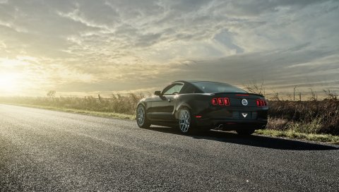 Mustang, gt, автомобили, дорога, свет, вид сзади