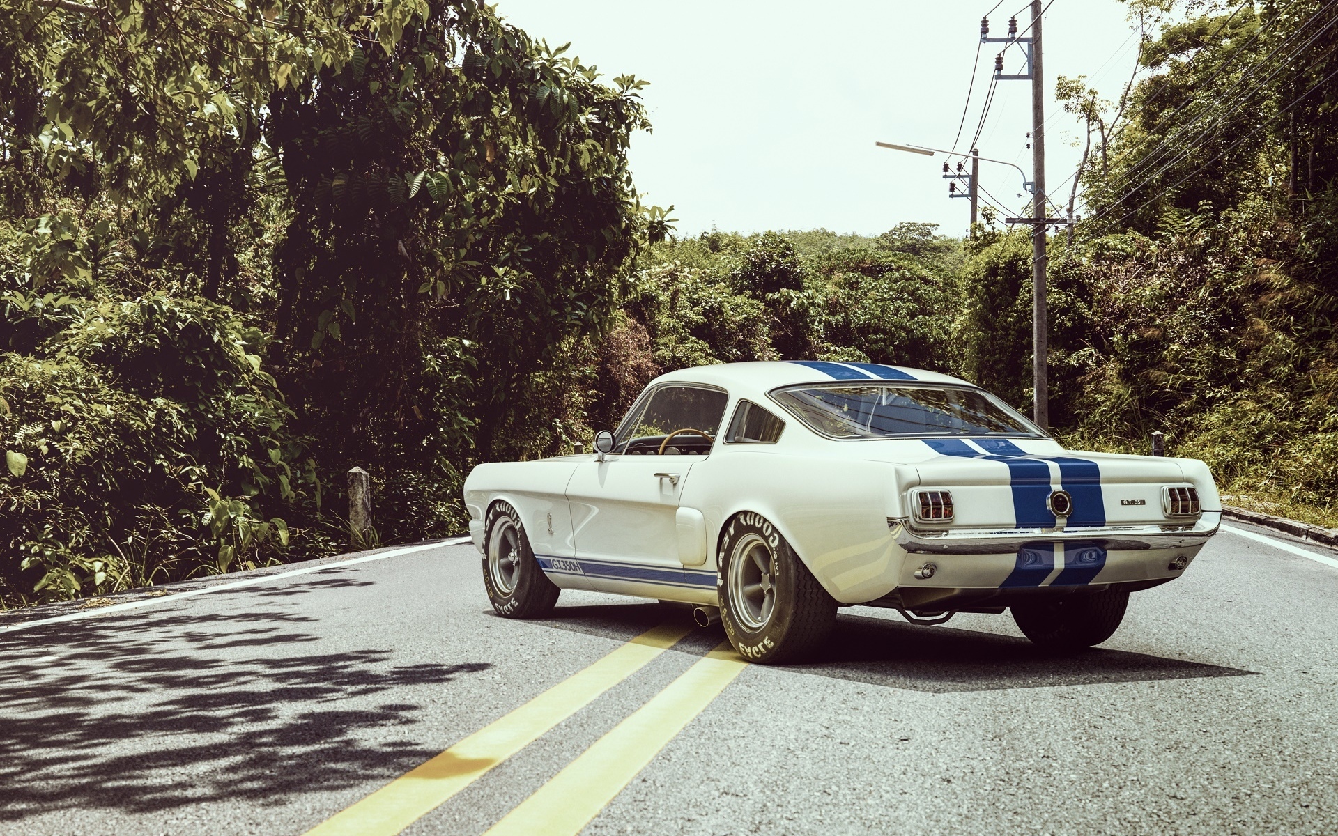 Картинки брод, Шелби, gt350r, мышцы фото и обои на рабочий стол