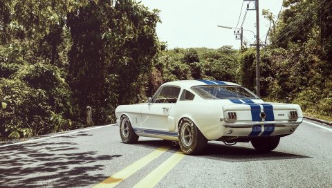 брод, Шелби, gt350r, мышцы