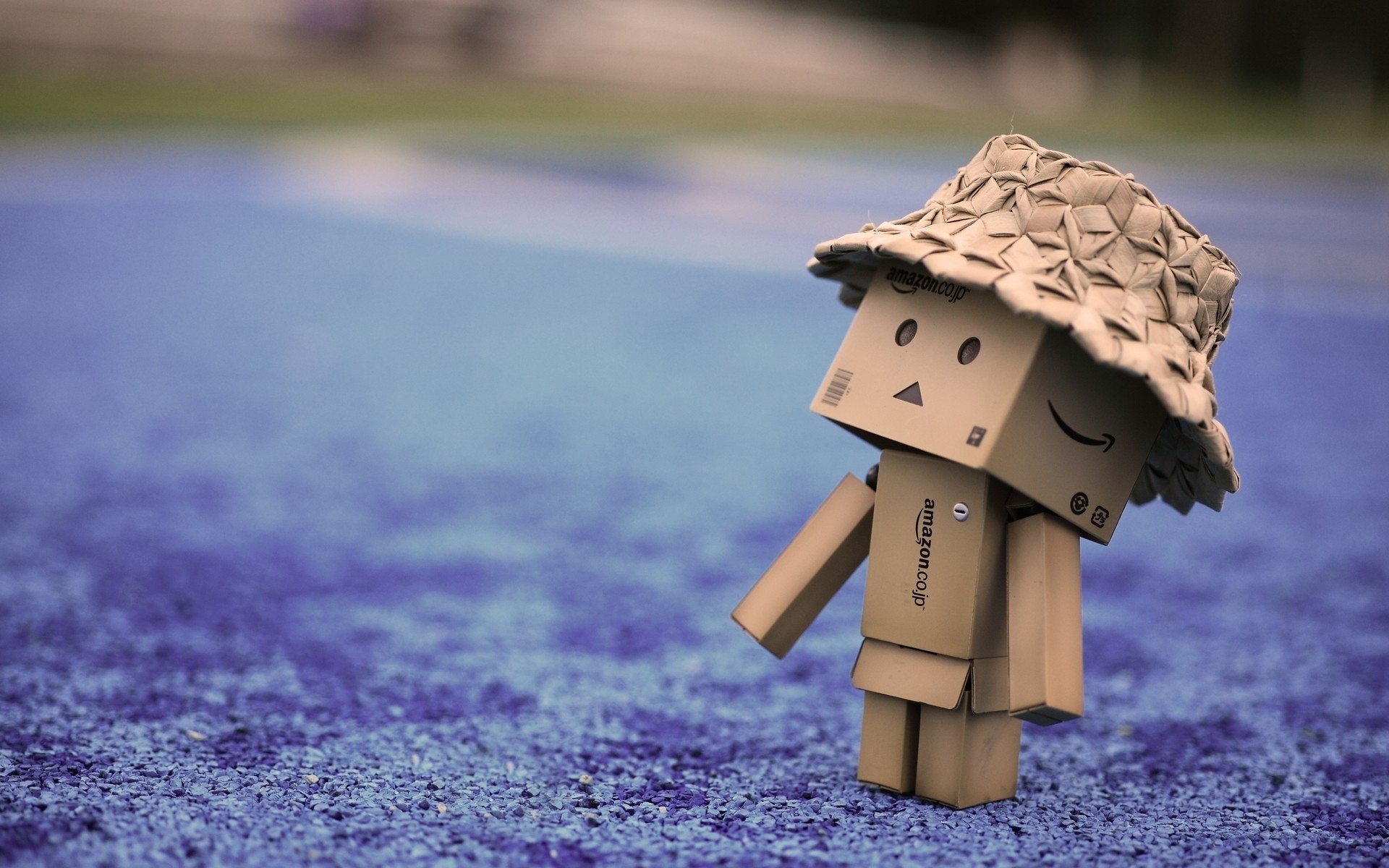 Картинки Danbo, картонный робот, шляпа, прогулка фото и обои на рабочий стол