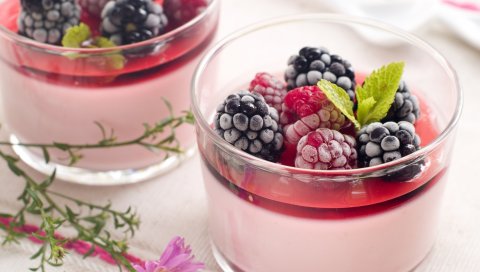десерт, малина, ежевика листья