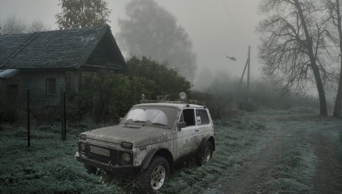 сталкер, лес, зеленый, вертолет, монстр