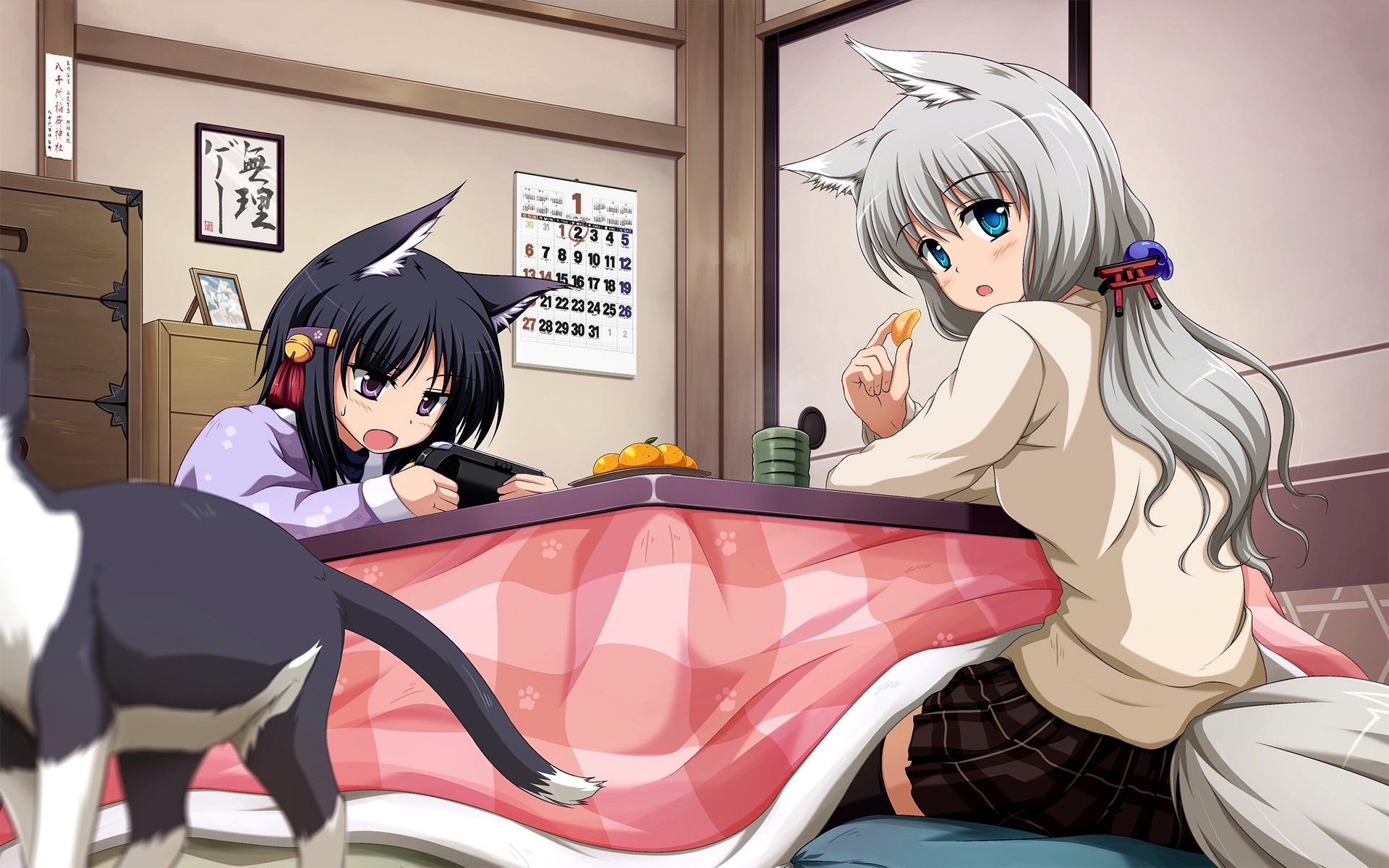 Картинки Neko, nekomimi, девушка, кот, комната фото и обои на рабочий стол