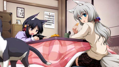 Neko, nekomimi, девушка, кот, комната