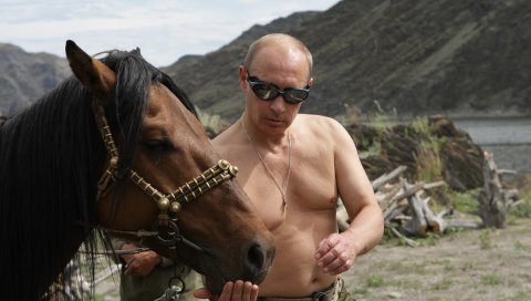 Владимир Путин, президент России, премьер-министр России, лошадь, природа, путин, гора