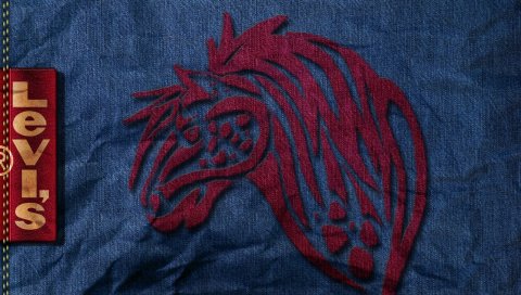 Levis, джинсы, бренд, одежда