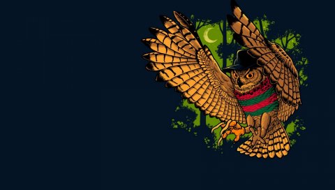 Сова, птица, freddy krueger, минимализм